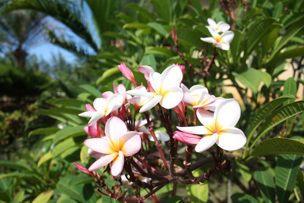Ao Thai Resort Sathing Phra Esterno foto