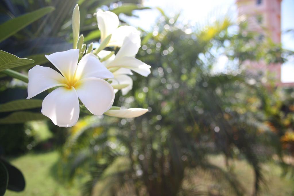 Ao Thai Resort Sathing Phra Esterno foto