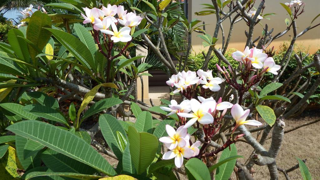 Ao Thai Resort Sathing Phra Esterno foto